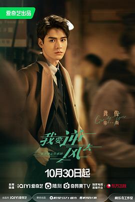 淮南seo网络优化公司